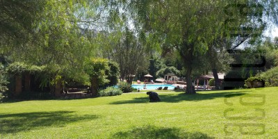 8 day wellness retreat at Rancho La Puerta