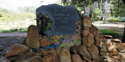 Seeking wellness at Rancho La Puerta Mexico