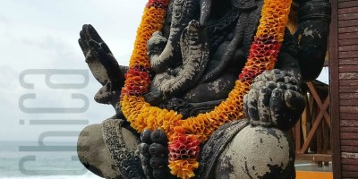 11 Day family trip to Balian Bali