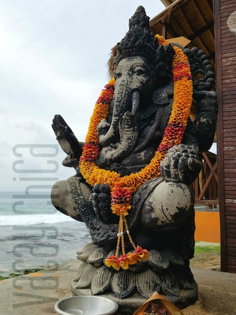 11 Day family trip to Balian Bali