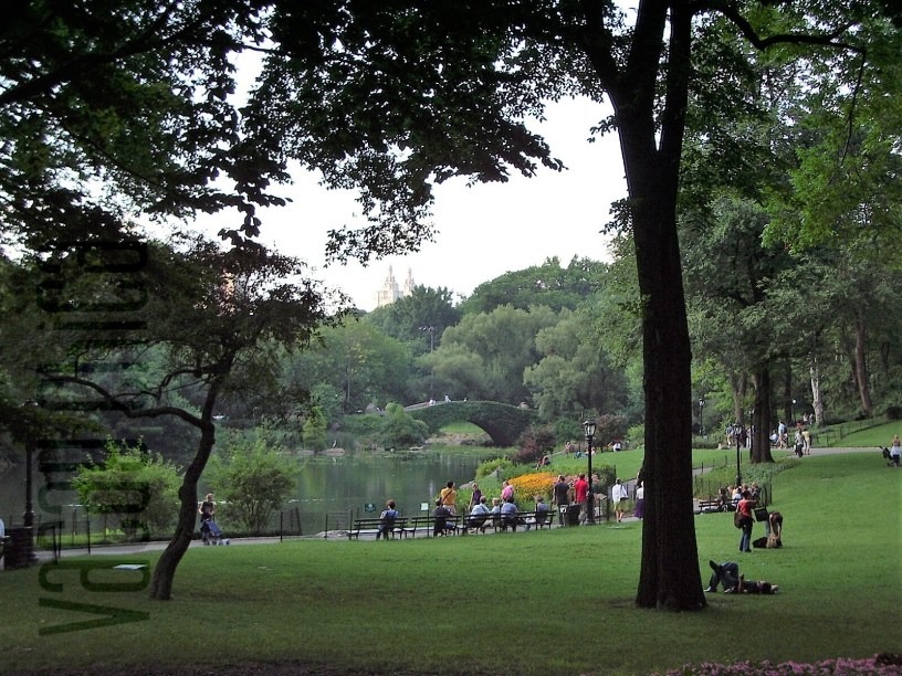 Rent bikes near Central Park in NYC