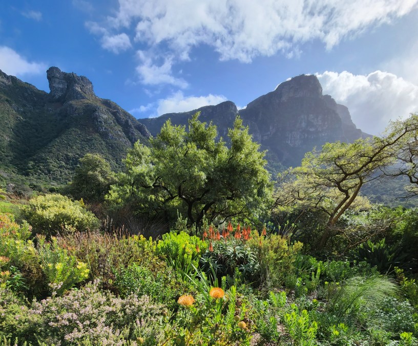 Two week road trip South Africa surf and safari